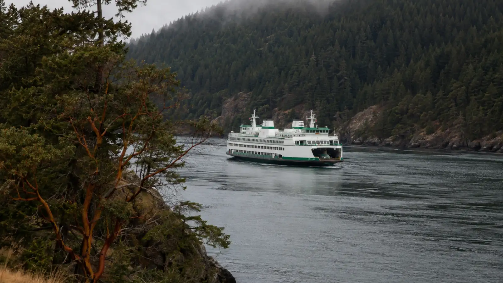 A ferry threading between steep forested islands in the San Juans