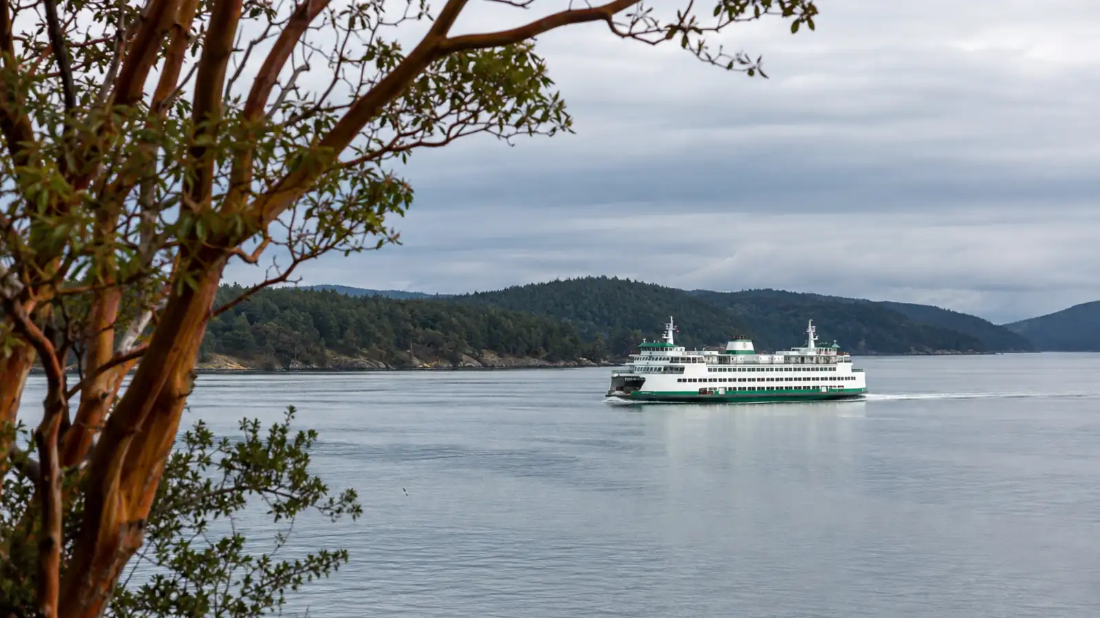 A vehicle ferry crossing calm water between forested islands